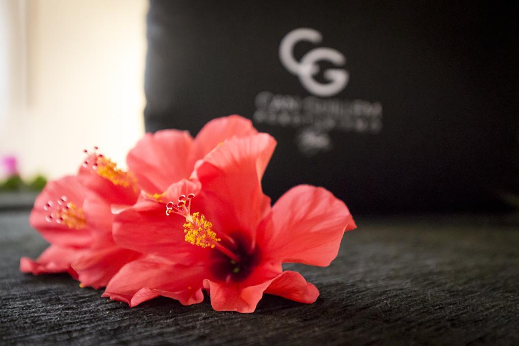 Agroturismo Can Guillem Can Furnet Room photo